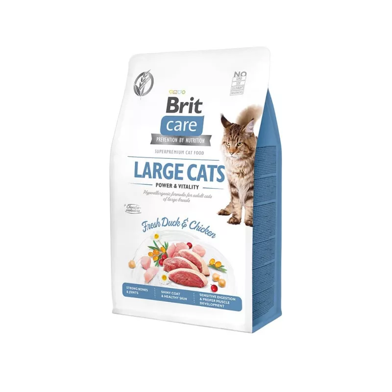 BritCare Cat Large cats P&V400g